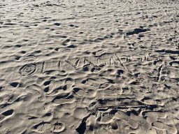 173-07-01-2026 IMG_6512